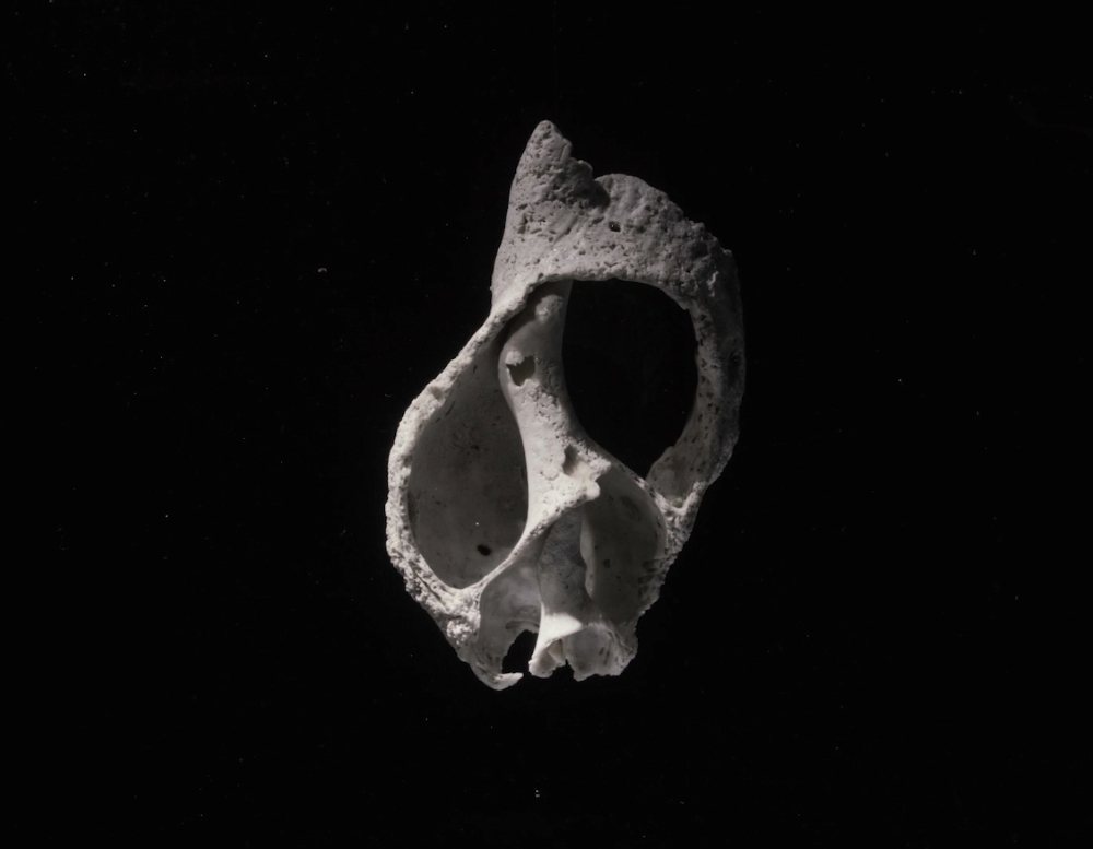 Still 9_sél2