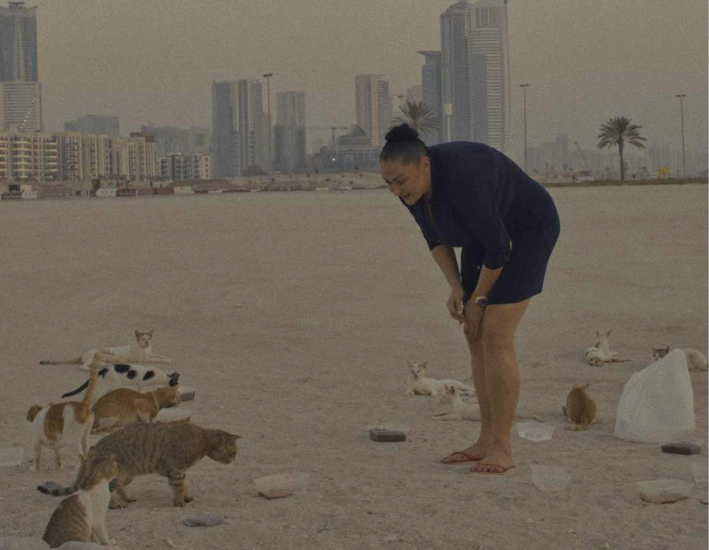 HEAT_Still_10_sél3