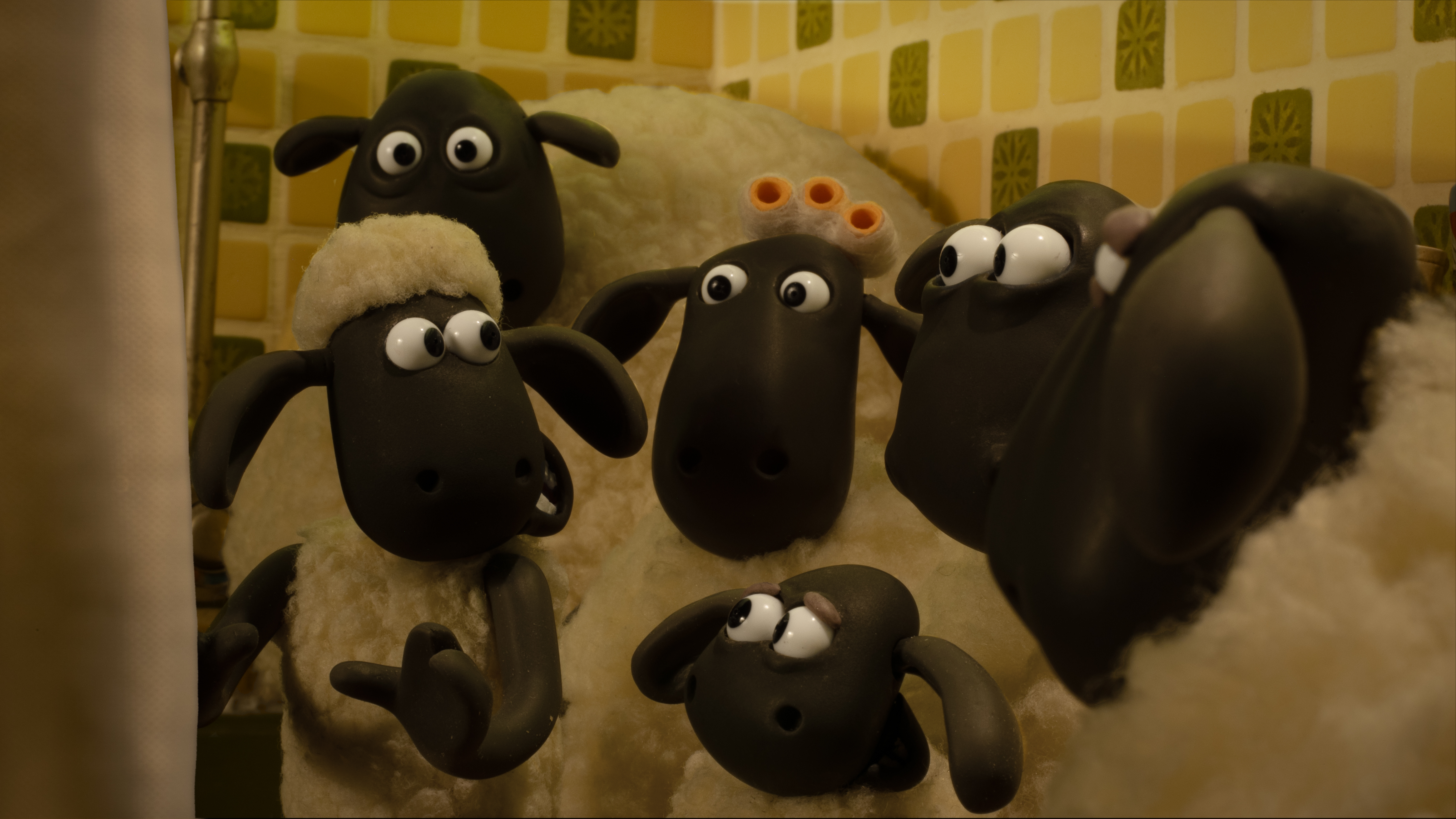 The flock hiding in the bath.